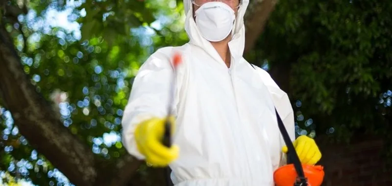 Expurgo ecológico de morcegos em Bertioga